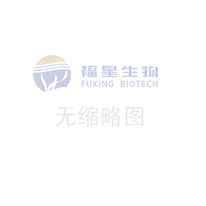 寧波鉆井隊，寧打井隊